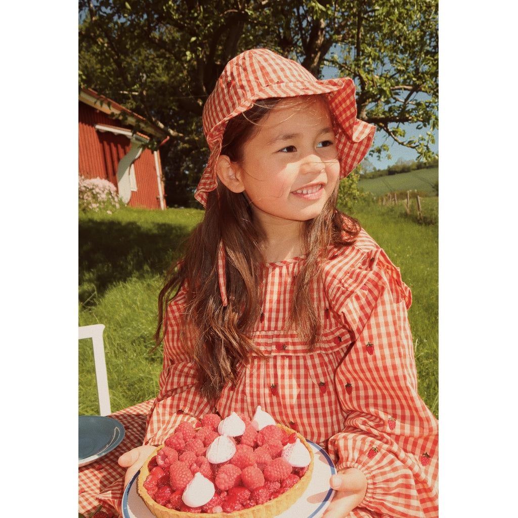 Flöss Aps Molly LS Dress Dress Berry Gingham